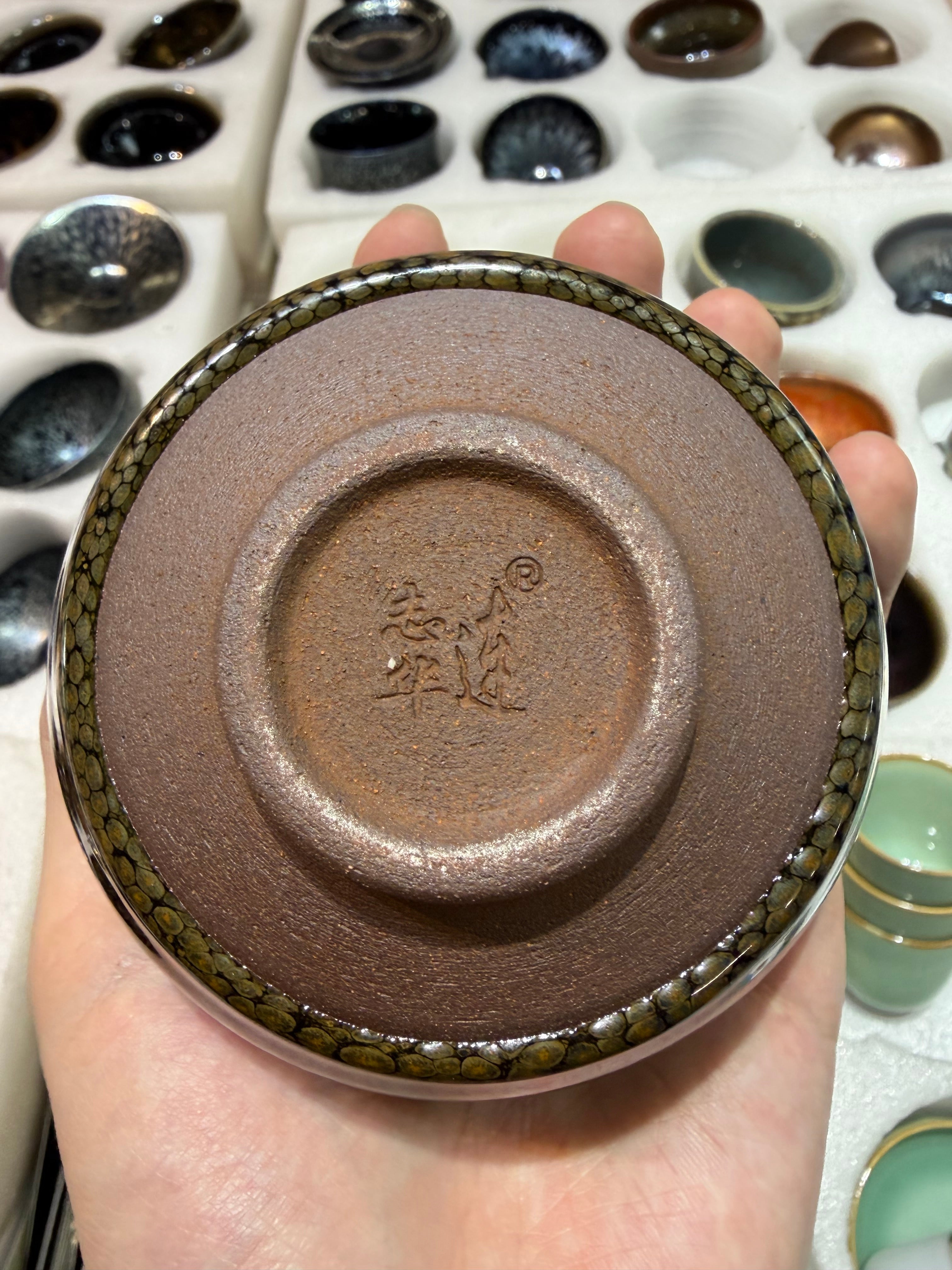 (M LZH) Sleeping dragon