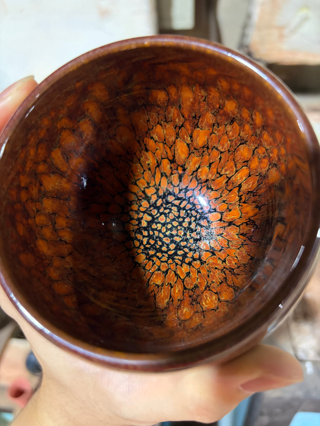 Medium Dragon Egg