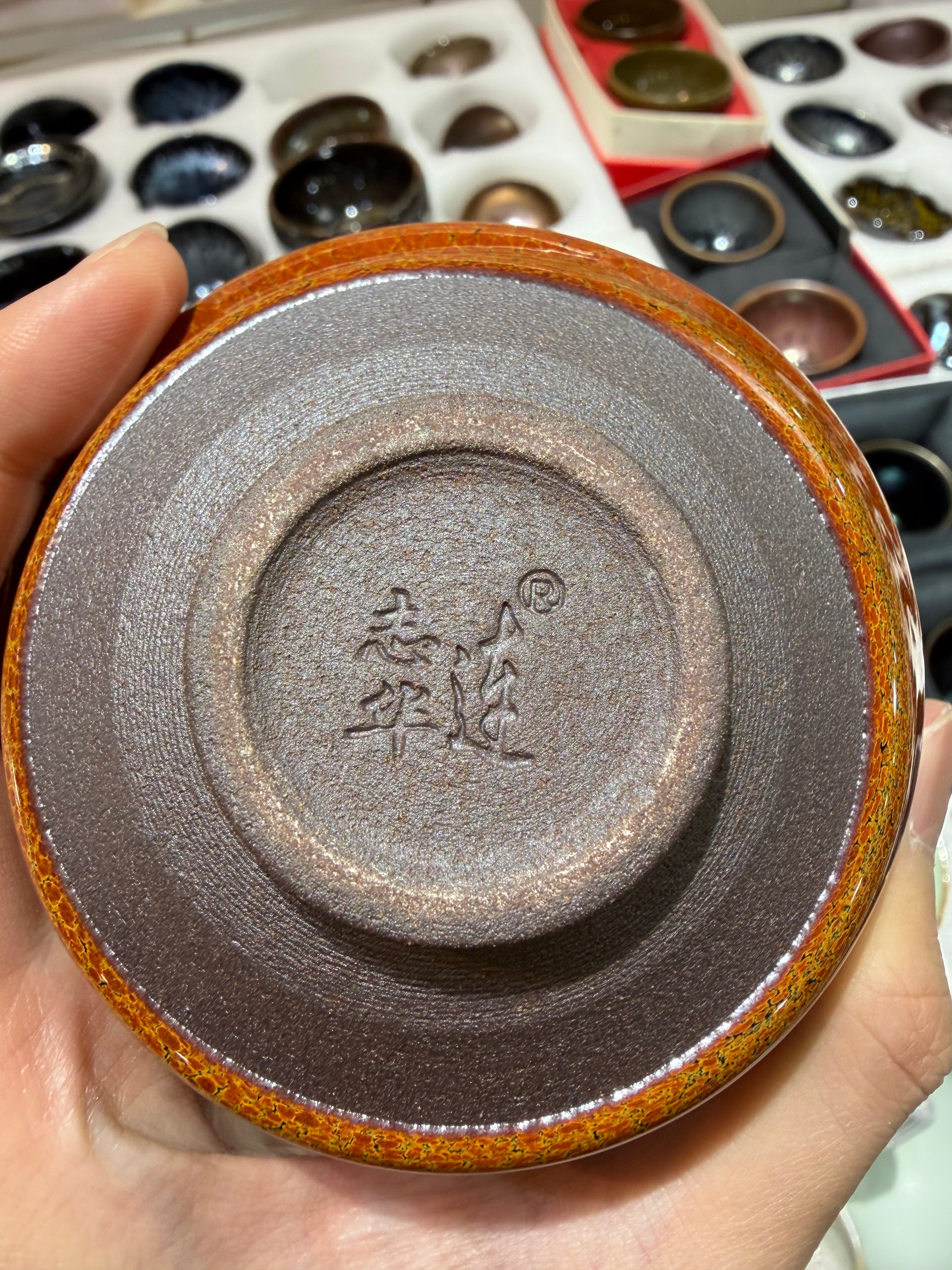 (M LZH) Sleeping dragon