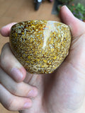 Daqi goldwhite
