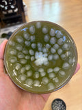 (M LXM) Pearl Spot