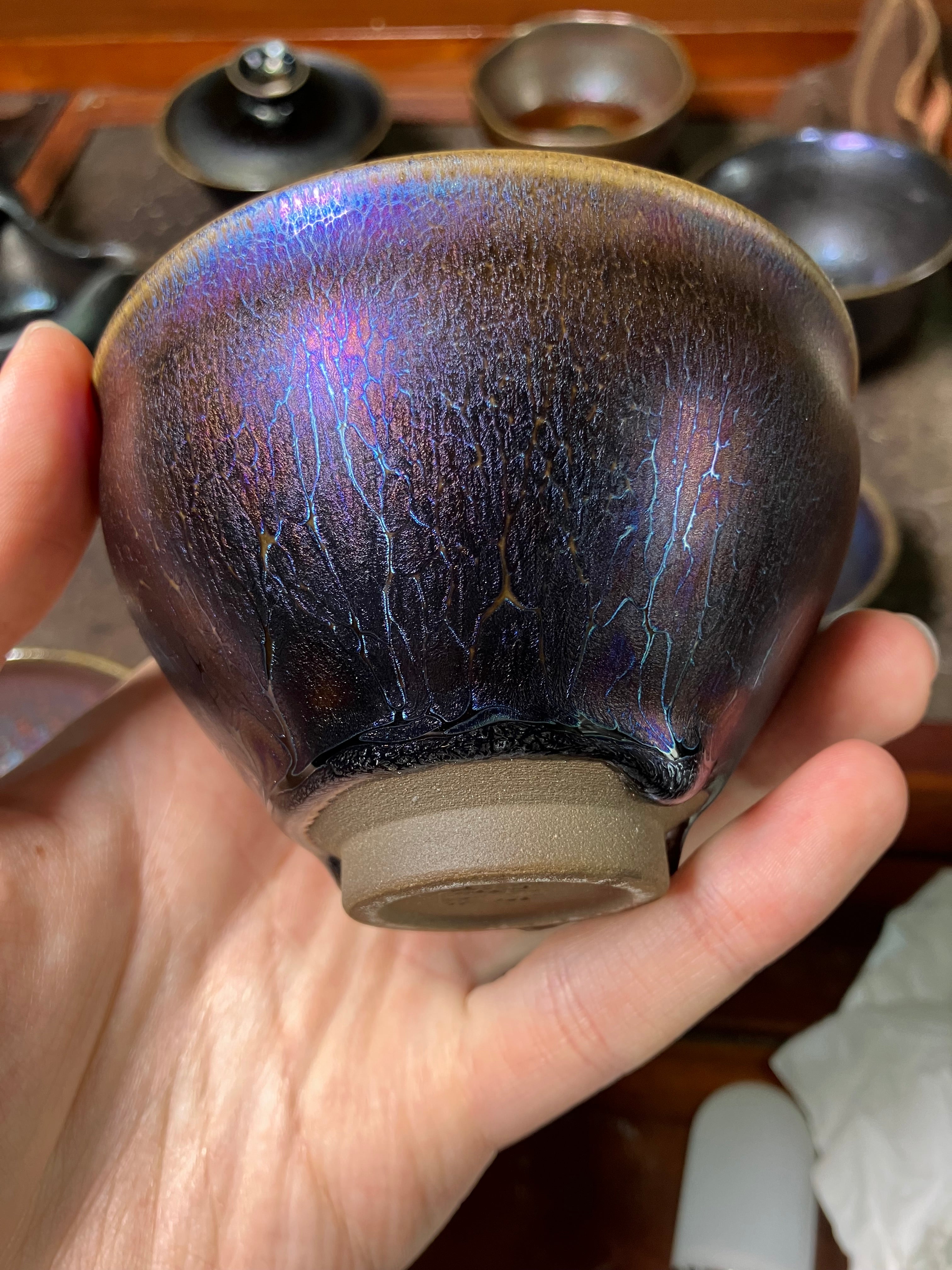 (M Zhou) Phoenix Plumage