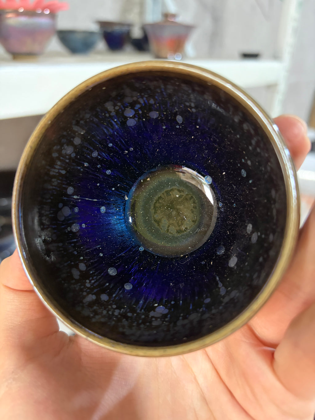 Landscape jellyfish