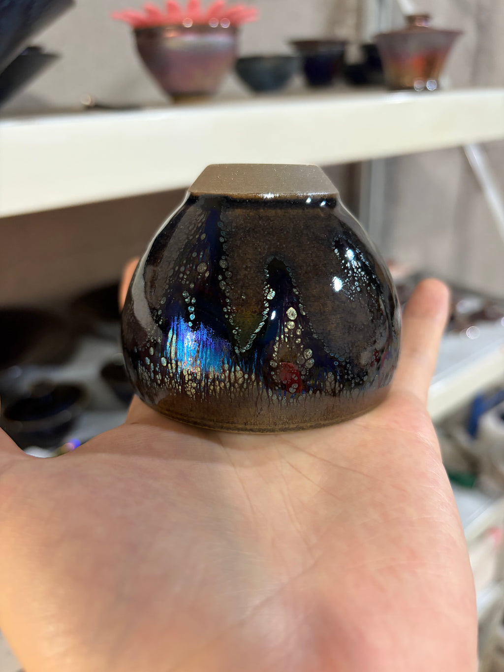 Landscape jellyfish
