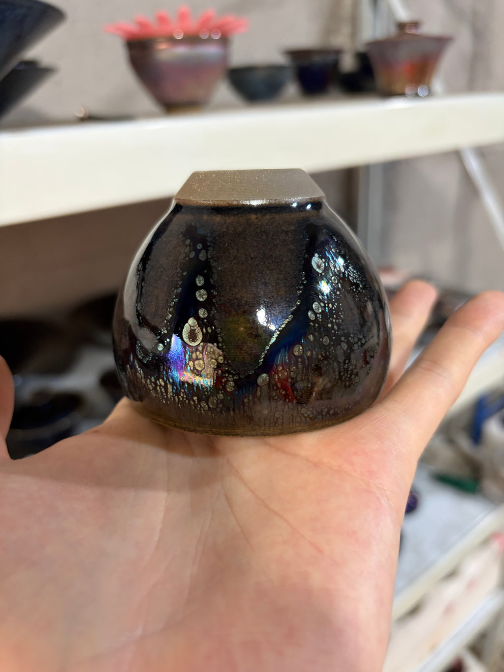 Landscape jellyfish