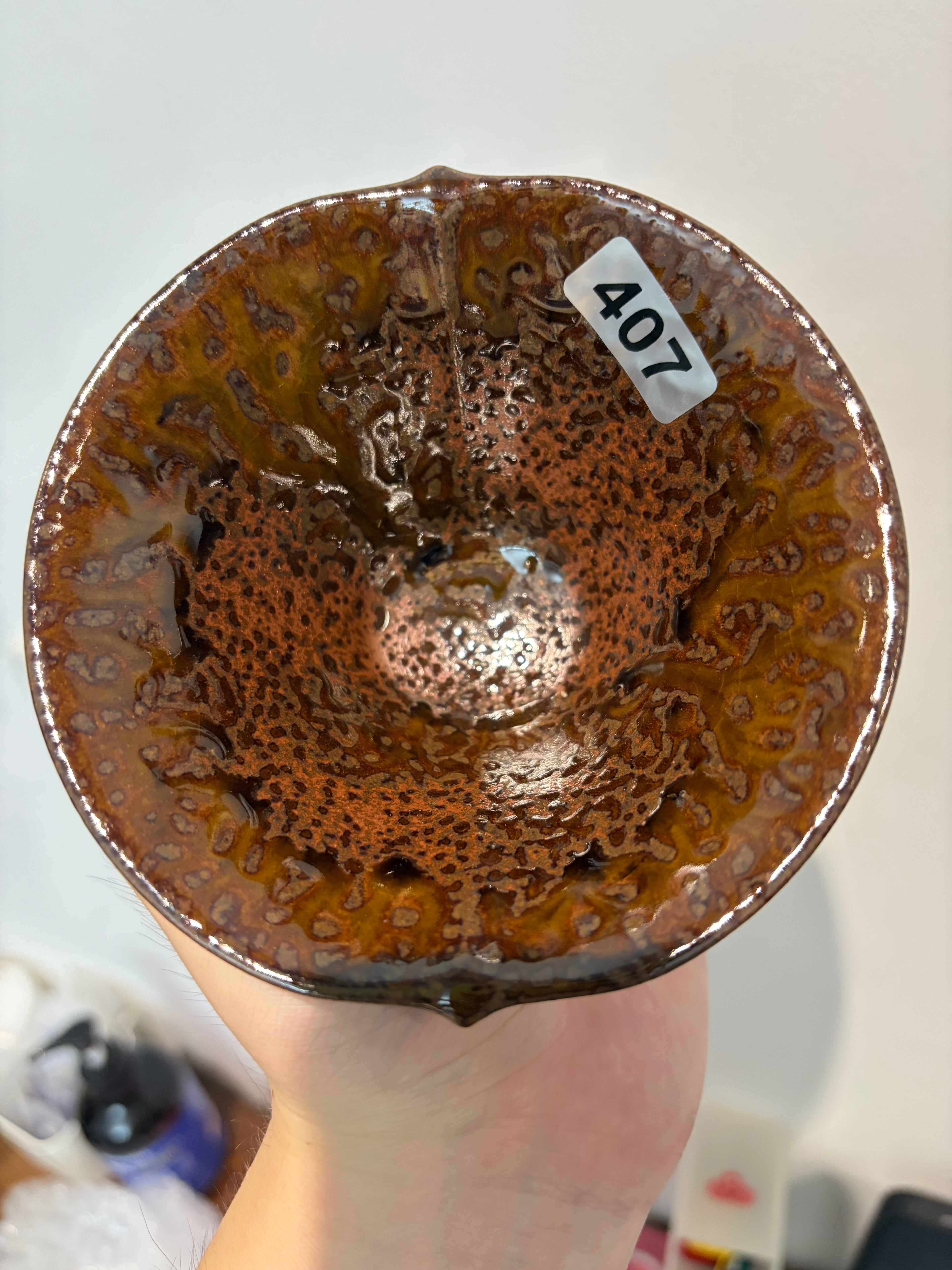 Clearance Bargain 6/22