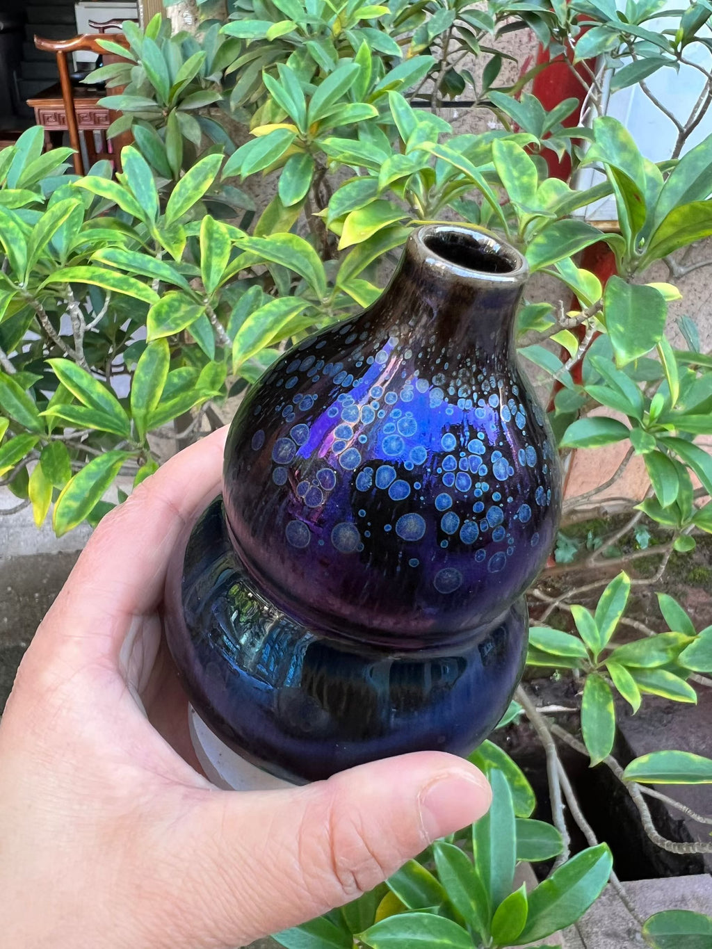 (M Zhou) Vases with white board