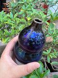 (M Zhou) Vases with white board