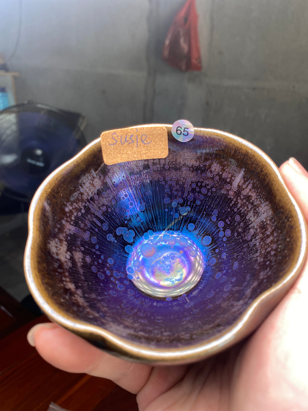 Jellyfish Master 6/26