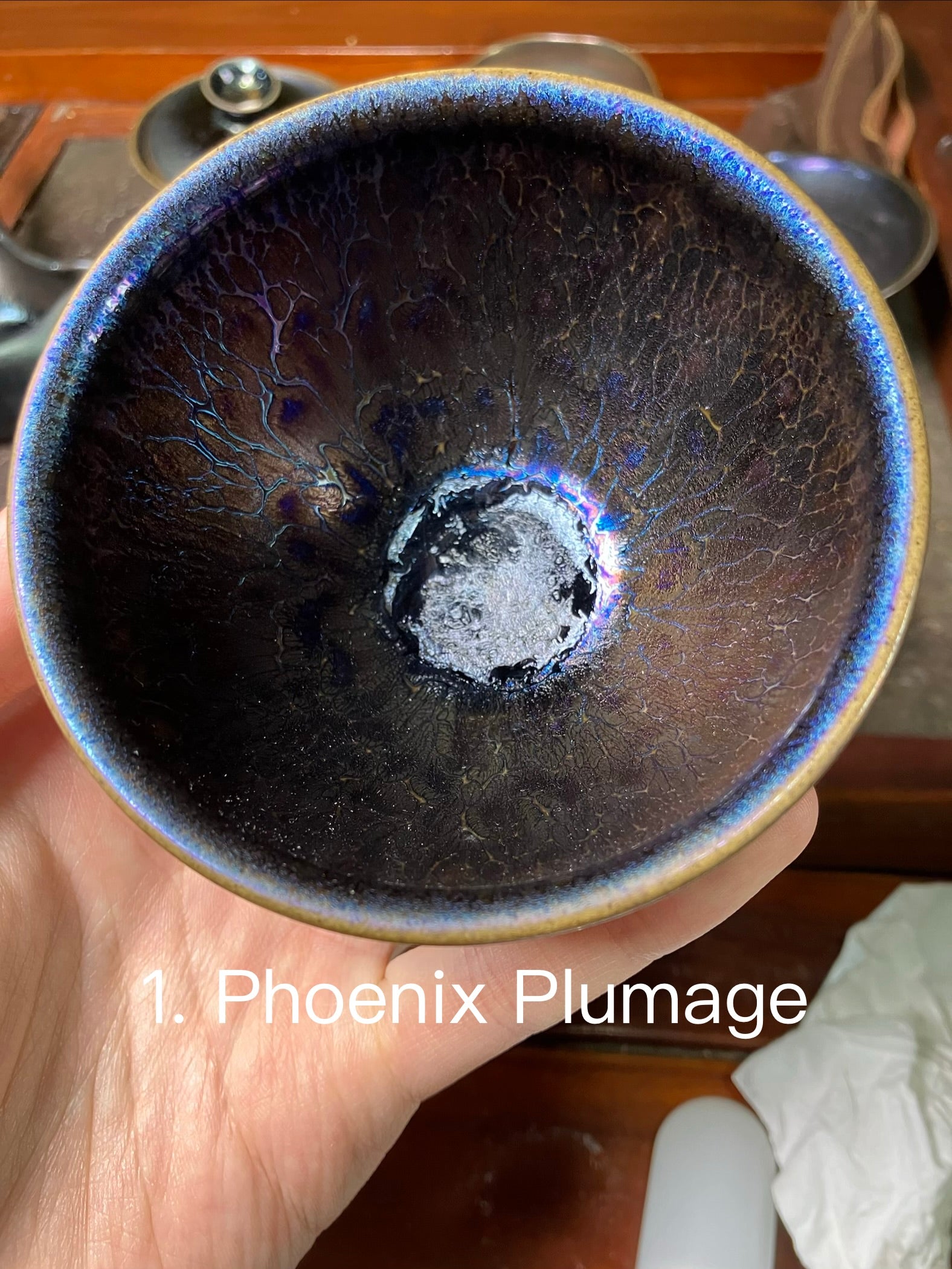 (M Zhou) Phoenix Plumage