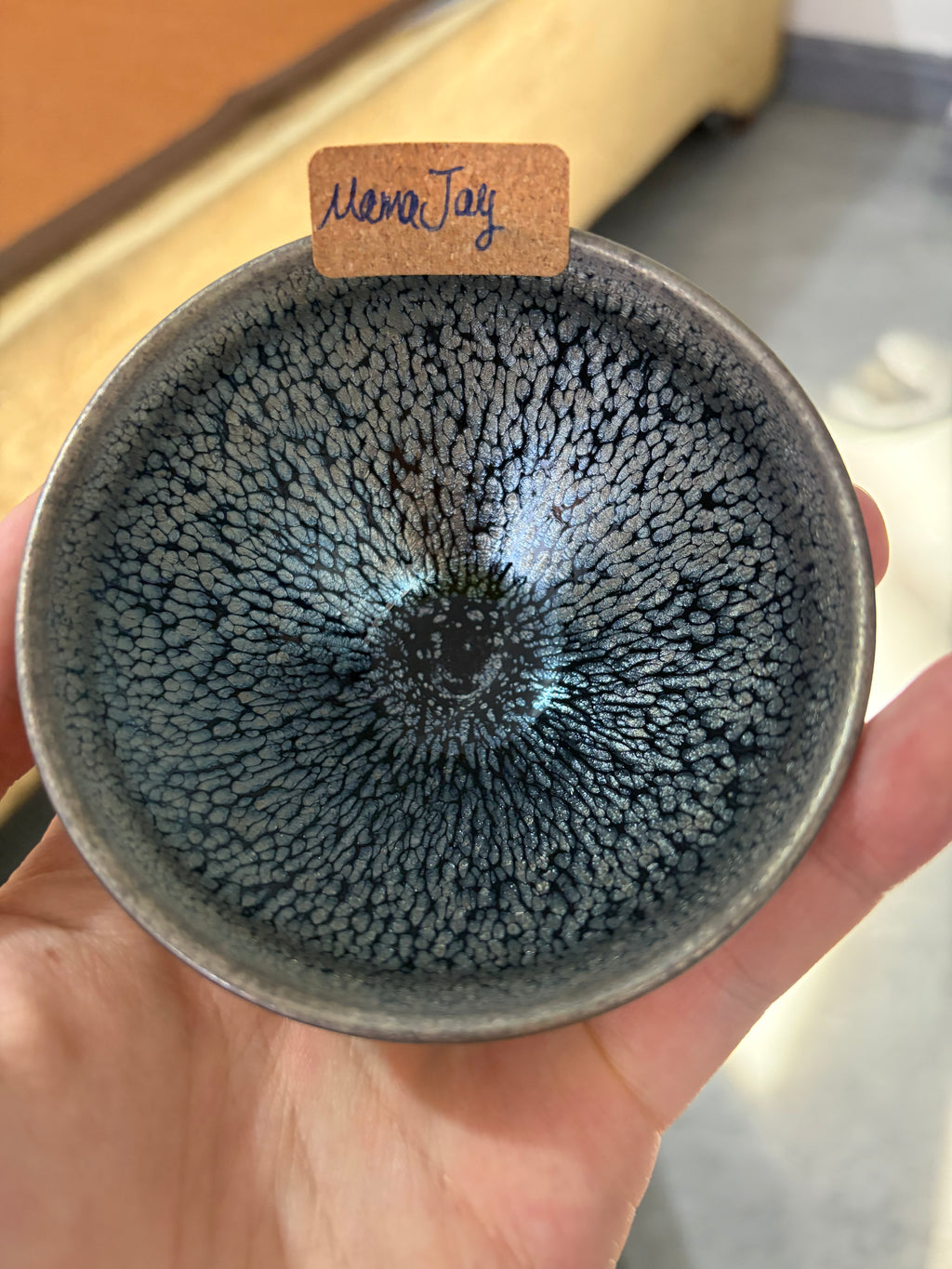 Clearance Bargains 6/23