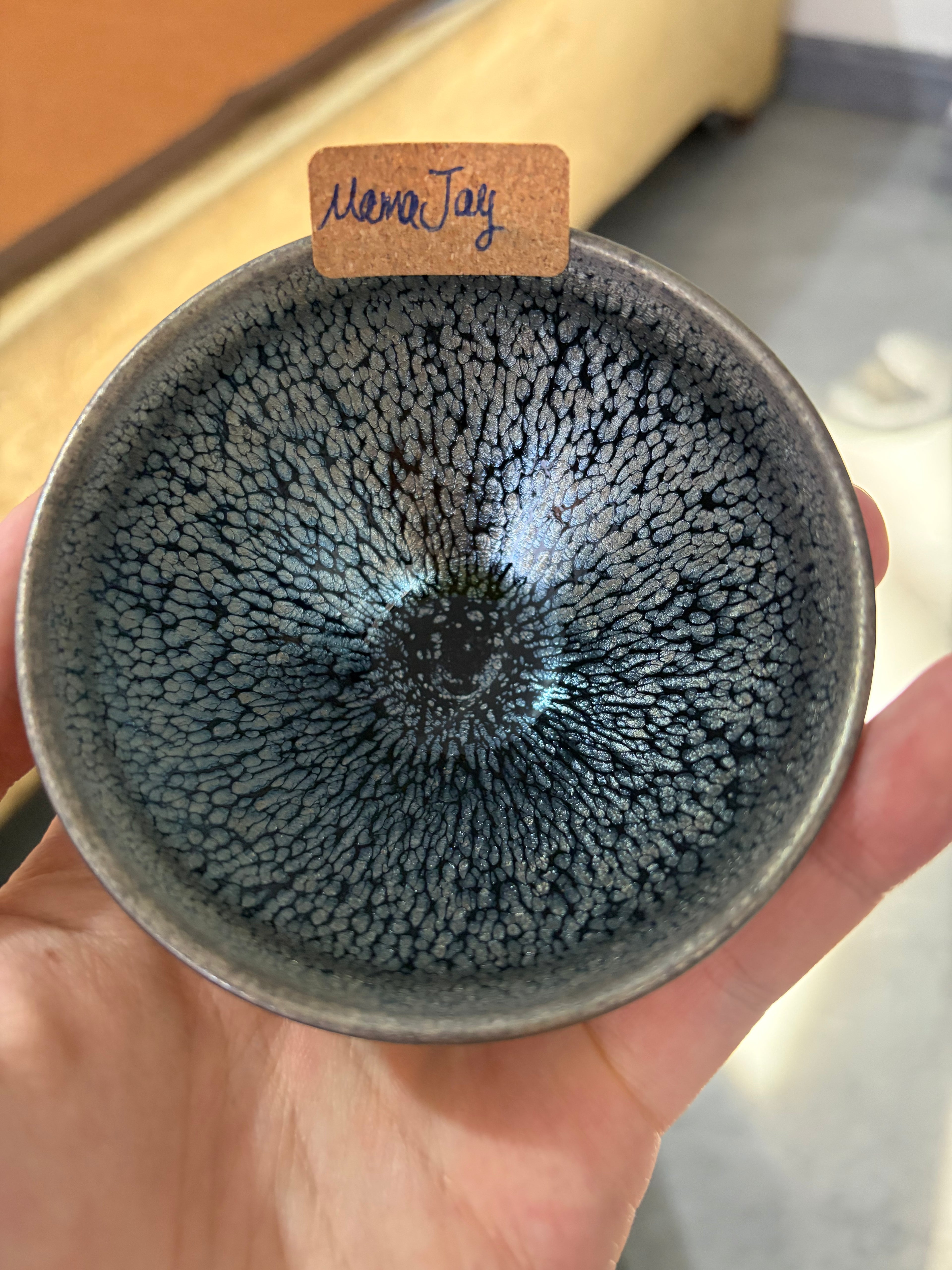 Clearance Bargains 6/23